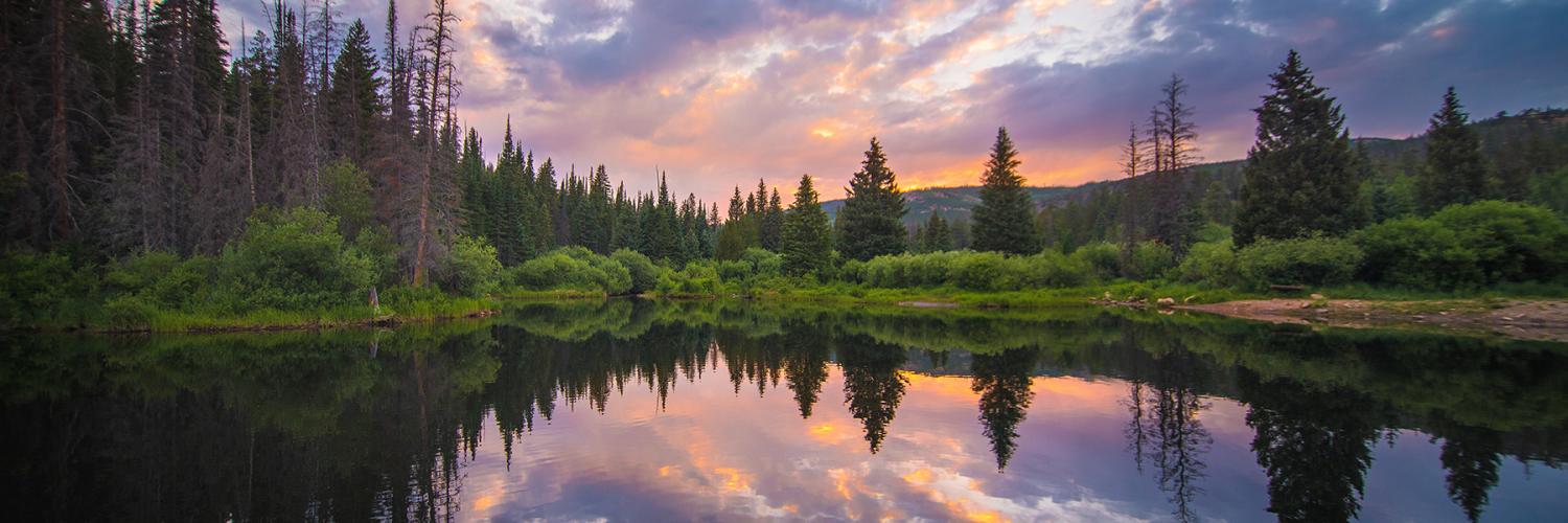 Landscape with a lake and trees. 